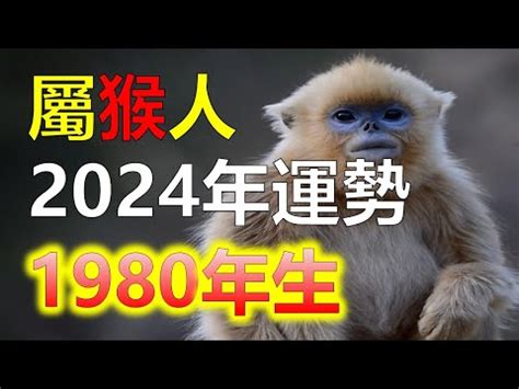 1980 屬猴|【1980 猴 五行】1980屬猴五行缺木！揭秘金猴命運如何、貴人運。